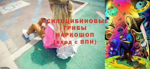 ешки Мегион