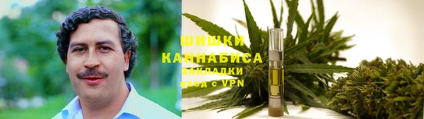 ешки Мегион
