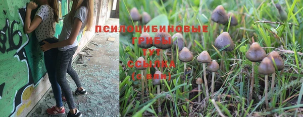 эйфоретик Медногорск