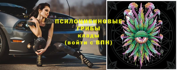 эйфоретик Медногорск