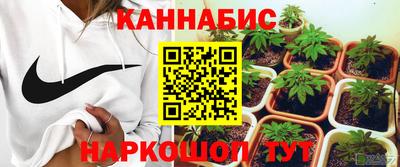 крисы Волгодонск