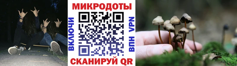 Галлюциногенные грибы мухоморы  blacksprut как войти  Елабуга 