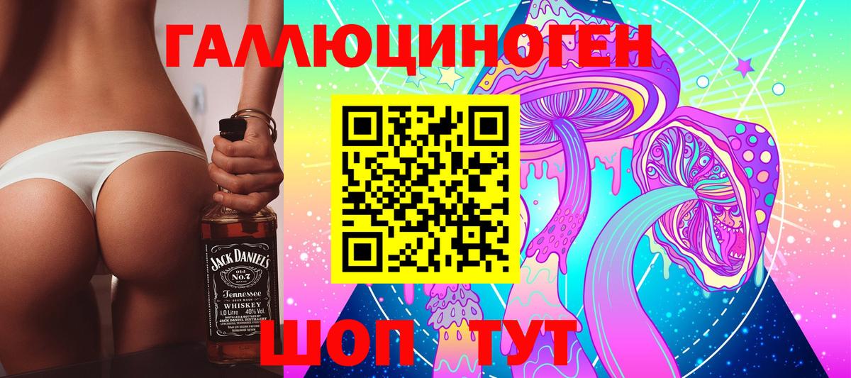 Галлюциногенные грибы прущие грибы  Вход с VPN  Елабуга 